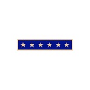 Smith & Warren C707 1 7/8" Single Color Six Star Award Bar