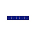Smith & Warren C586 1 7/8" Single Color Twelve Star Award Bar