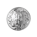 Waterbury "P" Police Button